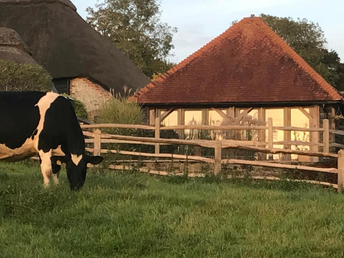 Bed and Breakfast The Cow Hide Arundel Esterno foto